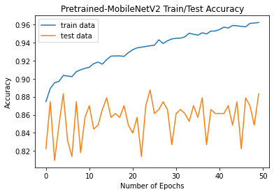 MobileNetV2-Accuracy-Graph.png