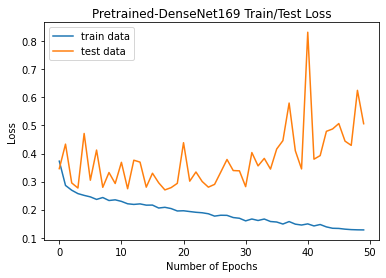 Pretrained-DenseNet169-loss-Graph.png