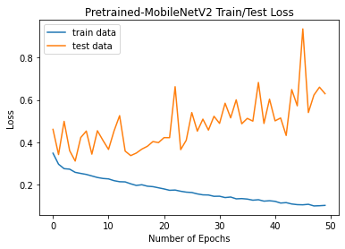 Pretrained-MobileNetV2-loss-Graph.png